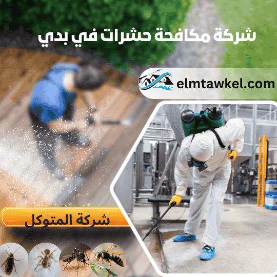 شركة مكافحة حشرات بدبي _ شركة المتوكل