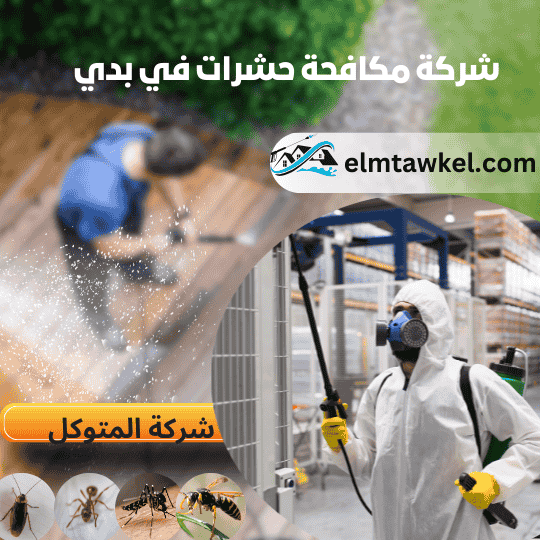 شركة مكافحة حشرات بدبي _ شركة المتوكل