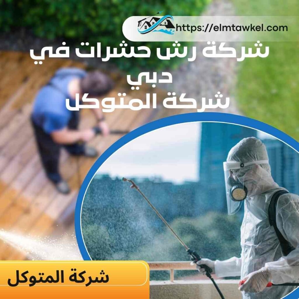 أفضل طرق شركة رش حشرات في دبي _ شركة المتوكل