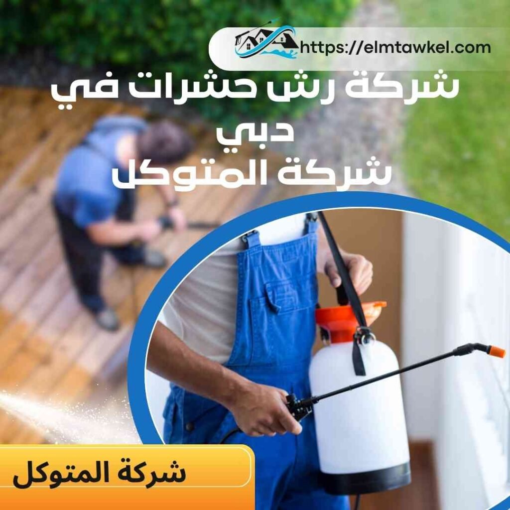 أفضل طرق شركة رش حشرات في دبي _ شركة المتوكل