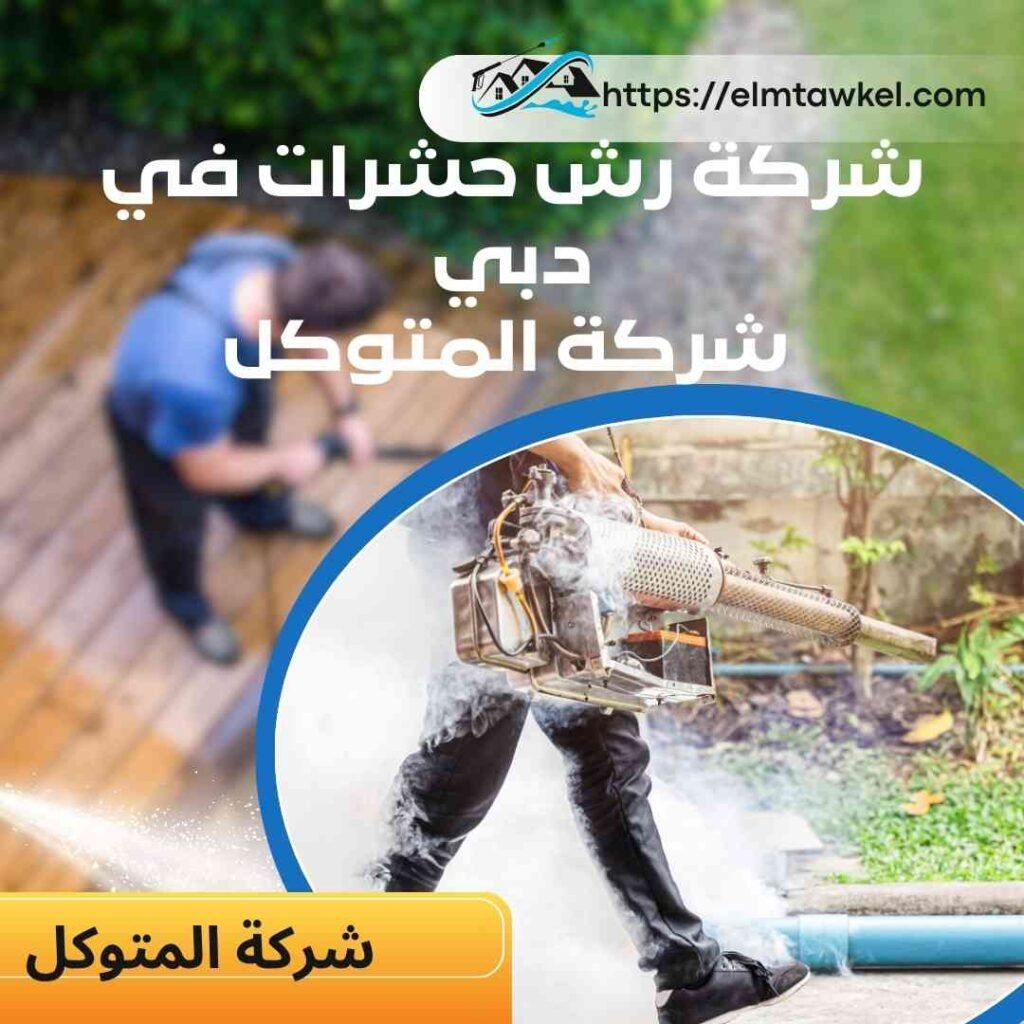 أفضل طرق شركة رش حشرات في دبي _ شركة المتوكل