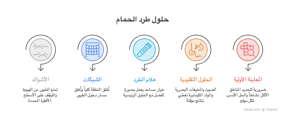 حلول طرد الحمام الفعالة: الأشواك والشبكات وهلام الطرد - شركة مكافحة الحمام في الإمارات | ضمان 6 أشهر | المتوكل